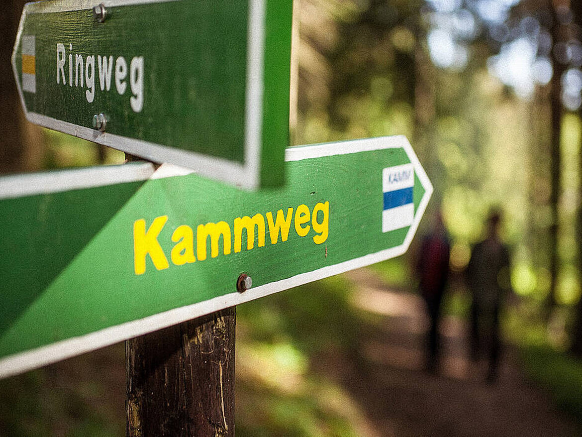 Kammweg - Wandelen in het natuurpark - Van Saksen naar Thüringen