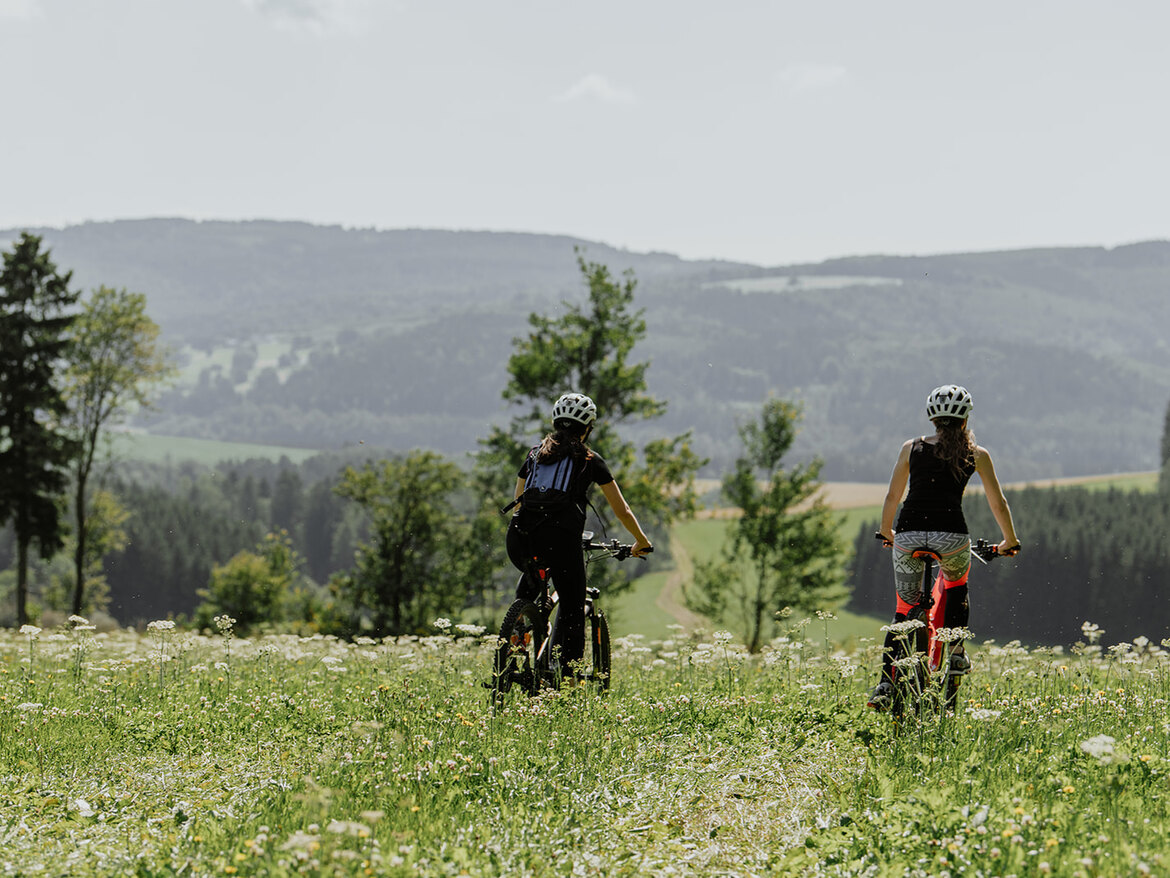 BIKEMAN Mountainbike Routes Erzgebirge
