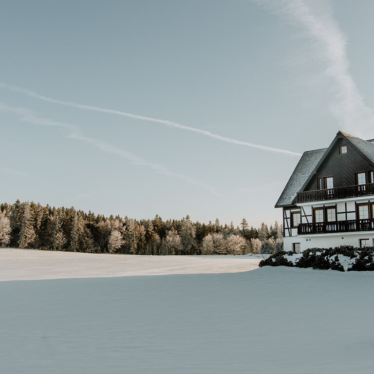 Winter Kreuztanne