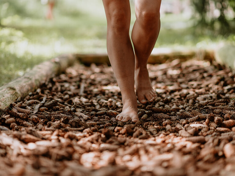 Wanderungen durch die Natur